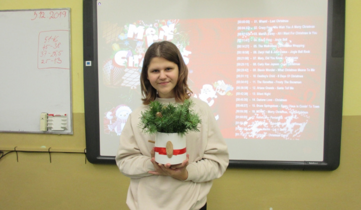 15. fotografia fotogalérie Vianočná ikebana