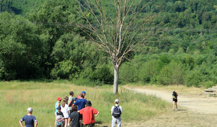 35. fotografia fotogalérie Didaktické hry a účelové cvičenie v prírode