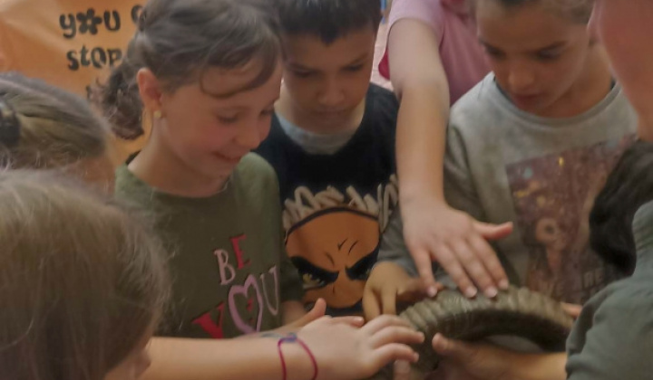 7. fotografia fotogalérie Lesná pedagogika 2