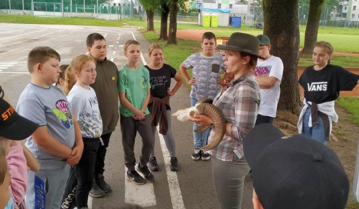 8. fotografia fotogalérie Lesná pedagogika 2