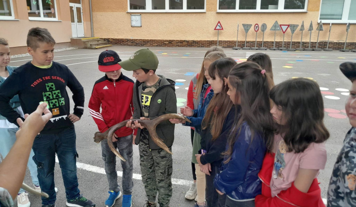 24. fotografia fotogalérie Lesná pedagogika 2
