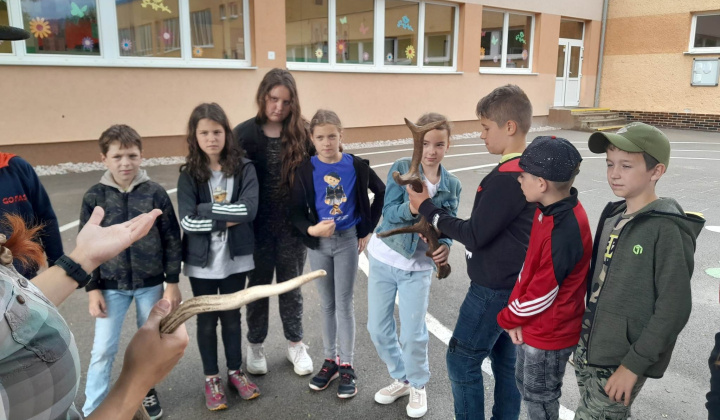 28. fotografia fotogalérie Lesná pedagogika 2