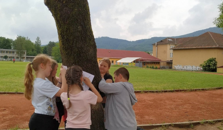 30. fotografia fotogalérie Lesná pedagogika 2