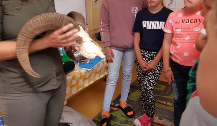 34. fotografia fotogalérie Lesná pedagogika 2