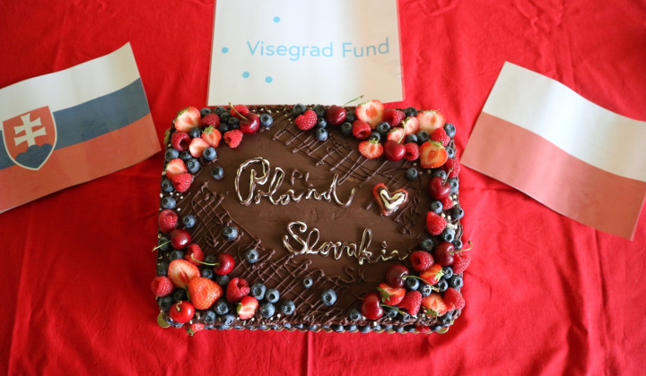 5. fotografia fotogalérie Druhý projekt Visegrad Fund 