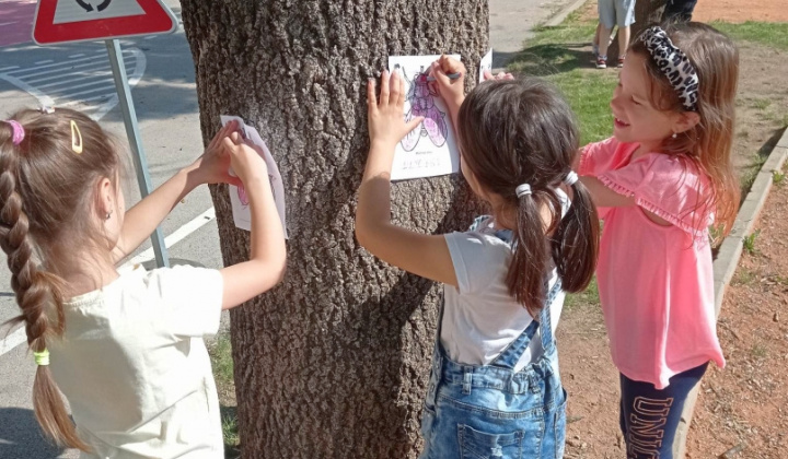 9. fotografia fotogalérie Lesná pedagogika