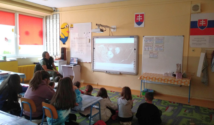 28. fotografia fotogalérie Apríl - mesiac lesov