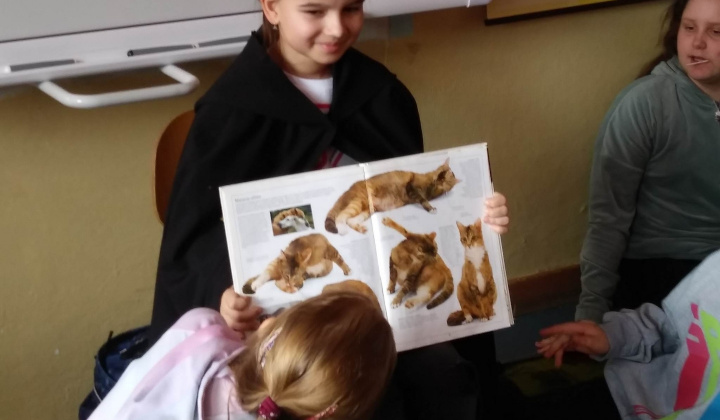 21. fotografia fotogalérie Experti v ŠKD