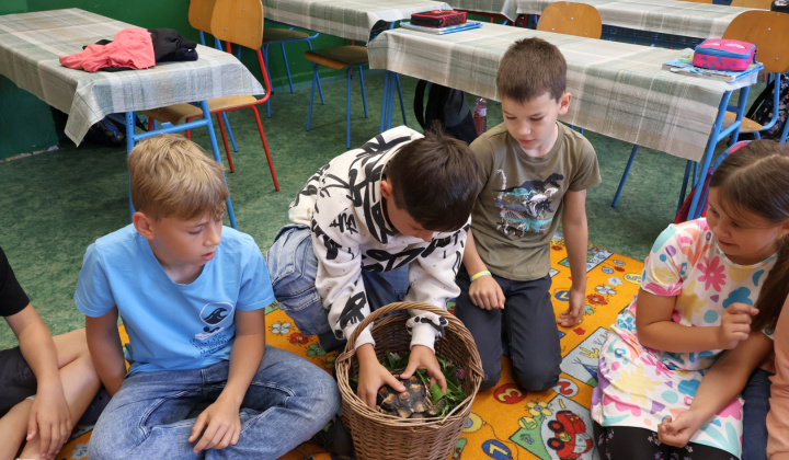 19. fotografia fotogalérie Zvieracia návšteva