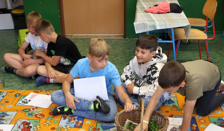 28. fotografia fotogalérie Zvieracia návšteva
