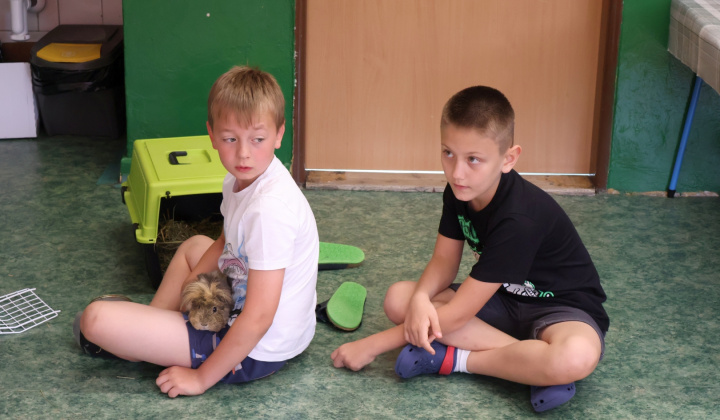 46. fotografia fotogalérie Zvieracia návšteva