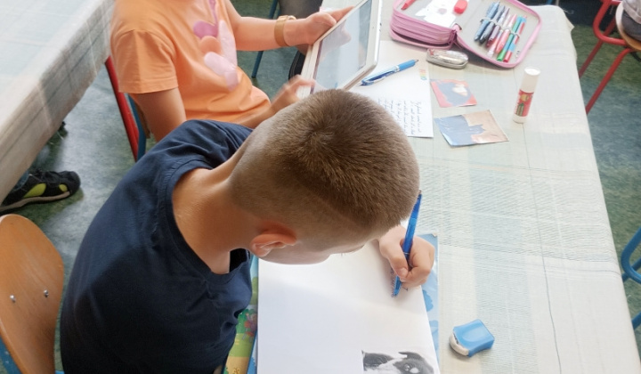 84. fotografia fotogalérie Zvieracia návšteva