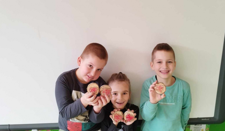 50. fotografia fotogalérie Valentín v ŠKD