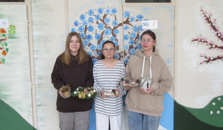 8. fotografia fotogalérie Vianočná ikebana