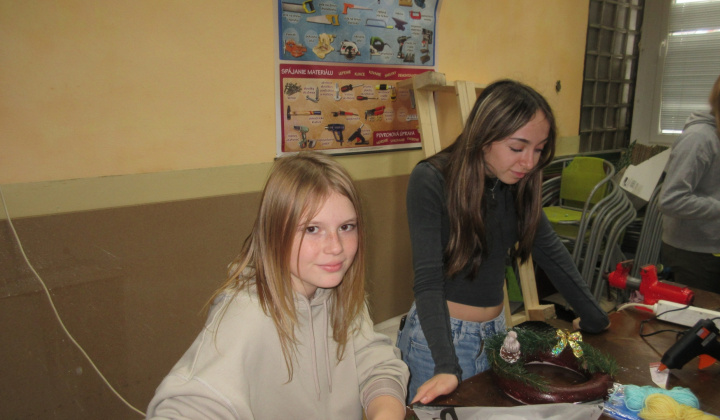 12. fotografia fotogalérie Vianočná ikebana