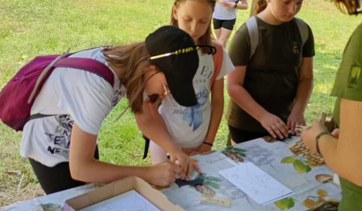 1. fotografia fotogalérie Dobrodružstvo v lese