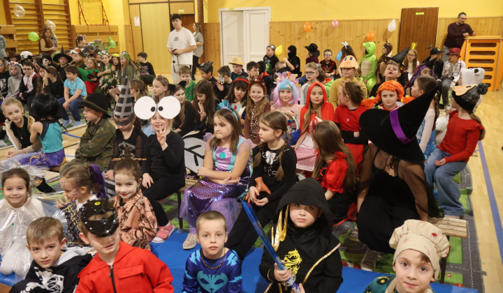 7. fotografia fotogalérie Karneval