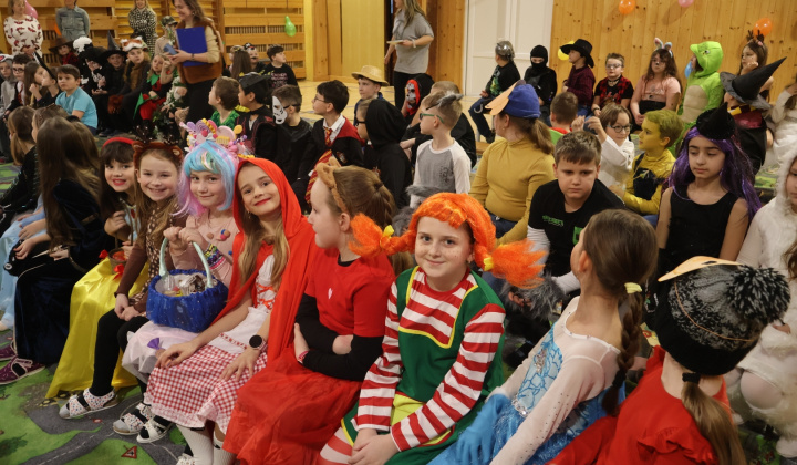 8. fotografia fotogalérie Karneval