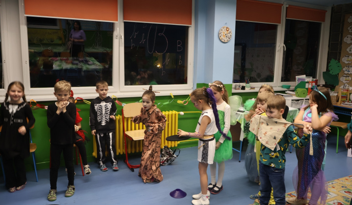 17. fotografia fotogalérie Karneval