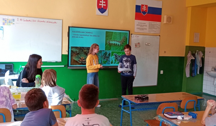 11. fotografia fotogalérie Svetový deň zvierat 