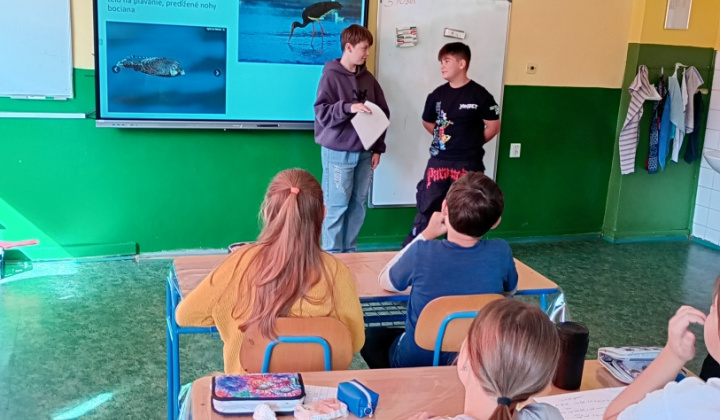 13. fotografia fotogalérie Svetový deň zvierat 