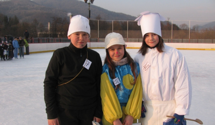 46. fotografia fotogalérie Karneval na ľade