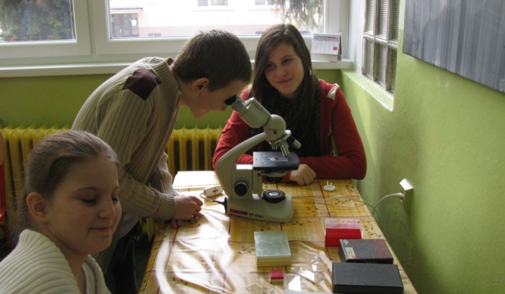 41. fotografia fotogalérie Projektový deň 2.2.2011