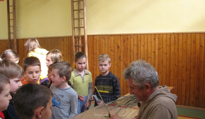 11. fotografia fotogalérie Ekojarmok