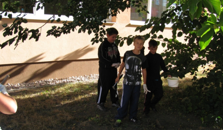 18. fotografia fotogalérie Upravujeme okolie školy