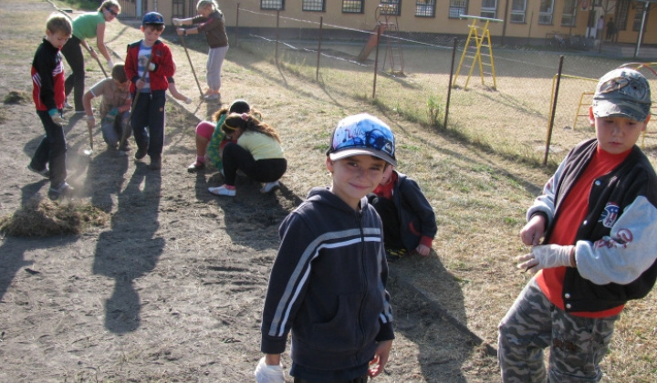 28. fotografia fotogalérie Upravujeme okolie školy