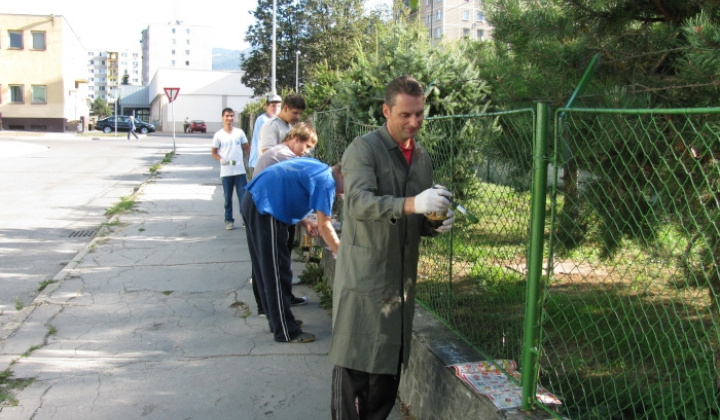 40. fotografia fotogalérie Upravujeme okolie školy