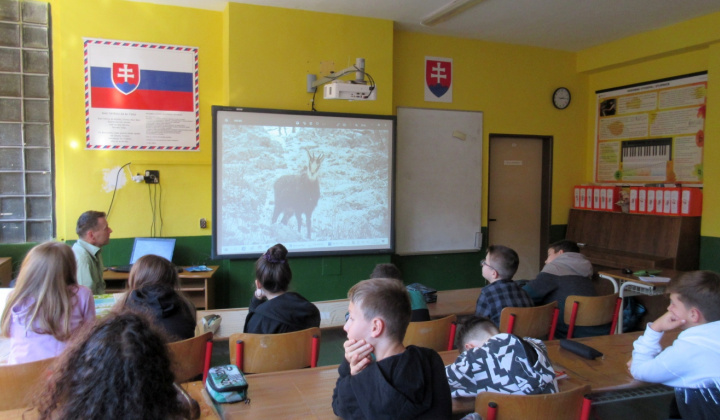 11. fotografia fotogalérie Svetový deň zvierat