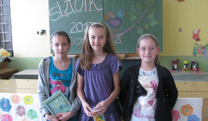 10. fotografia fotogalérie Slávik Slovenska 2013