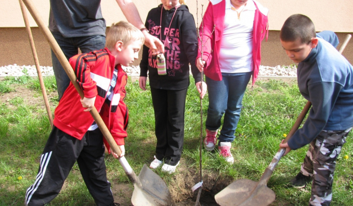 20. fotografia fotogalérie Deň Zeme