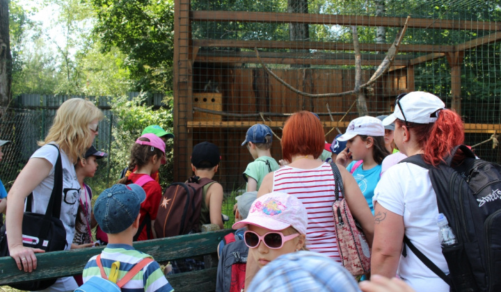 1. fotografia fotogalérie V ZOO