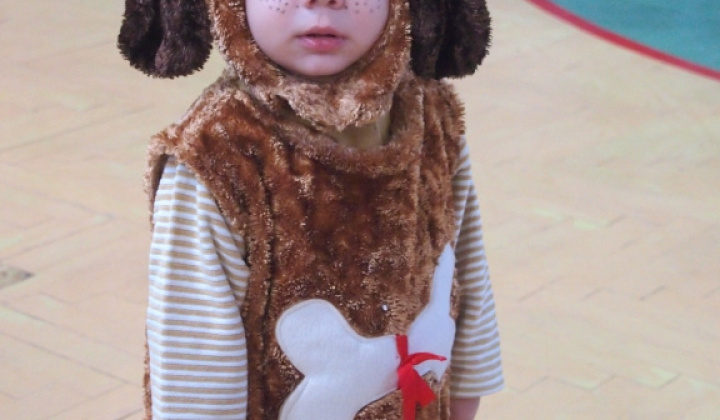 43. fotografia fotogalérie Fašiangový karneval