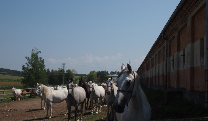 5. fotografia fotogalérie Chorvátsko 2013