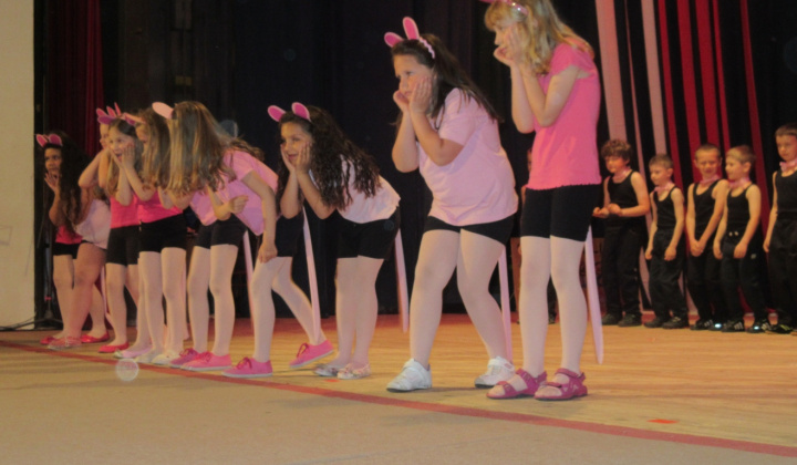 5. fotografia fotogalérie Školská akadémia