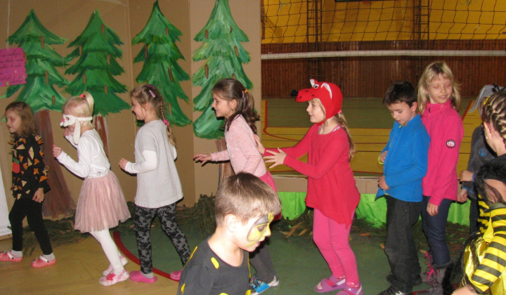 20. fotografia fotogalérie Noc v čarovnom lese