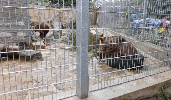 5. fotografia fotogalérie Druháci v ZOO