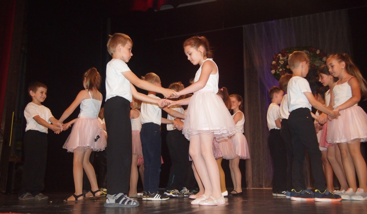 15. fotografia fotogalérie Školská akadémia