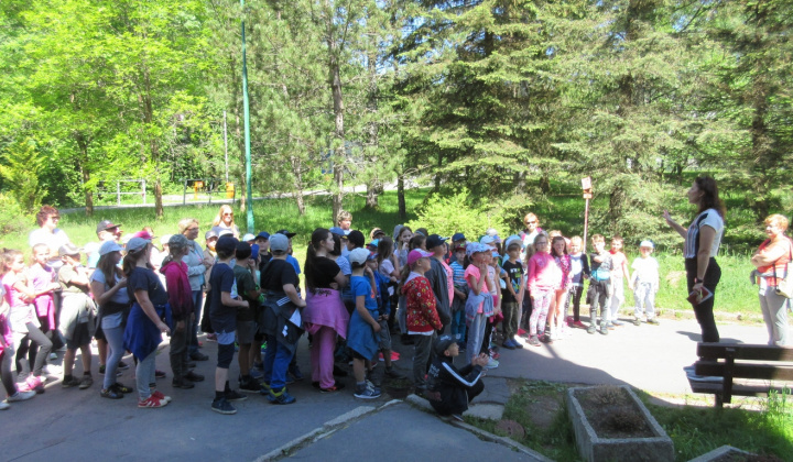 20. fotografia fotogalérie Škola v prírode