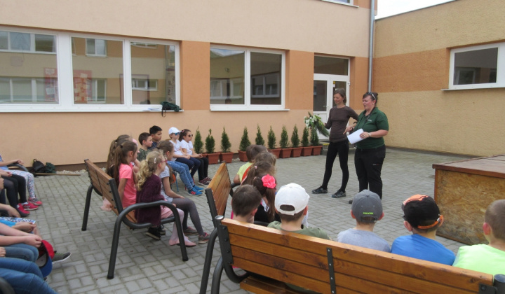 1. fotografia fotogalérie Environmentálna výchova v ŠKD 