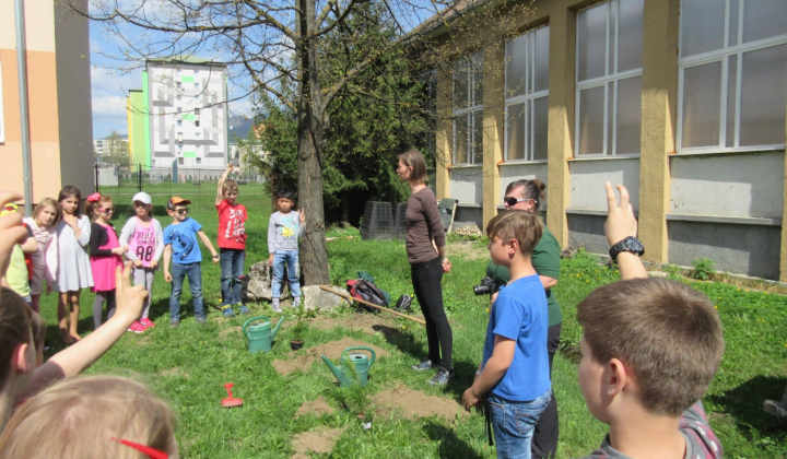 4. fotografia fotogalérie Environmentálna výchova v ŠKD 