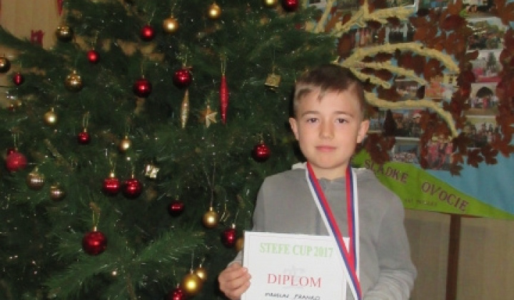 4. fotografia fotogalérie Medailobranie v bojových umeniach