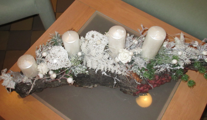 22. fotografia fotogalérie Vianočná ikebana
